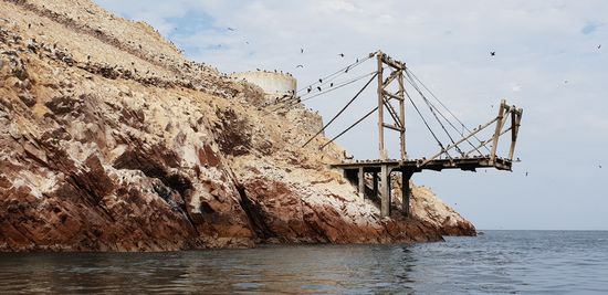 Und sooo viele Vögel.. habe ich in meinem Leben noch nicht gesehen. Demnach hat es aber auch gestunken.