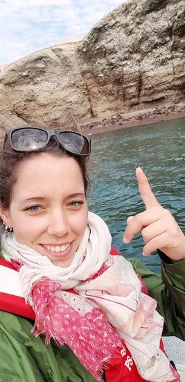 Robben Kolonie, so viele Robben