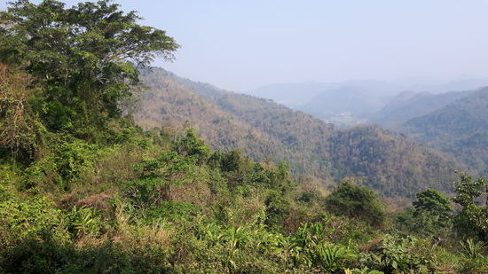 Landschaft des Parks.