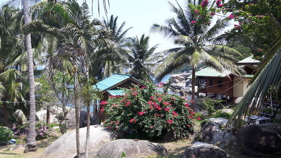 Mao Bay ganz im Osten - auch sehr hübsch