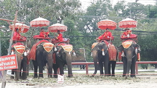 Das mache ich nicht.