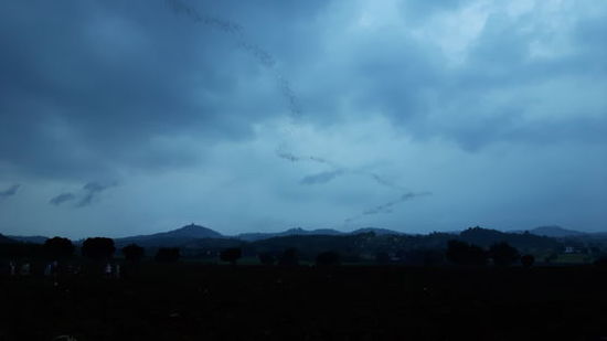 Die schwarzen Punkte sind die Fledermäuse. Leider kann das Bild den Eindruck nicht vermitteln.