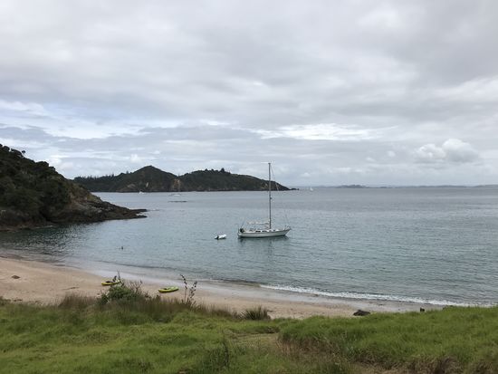 Paihia : Bay of Island