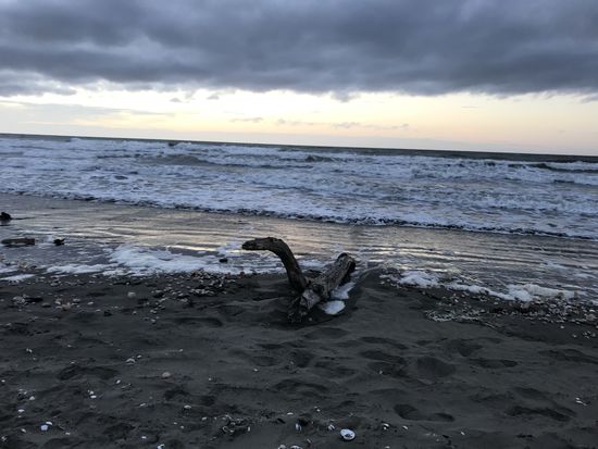 Queen-Elizabeth-Park