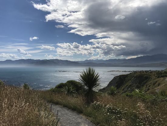 Kaikoura