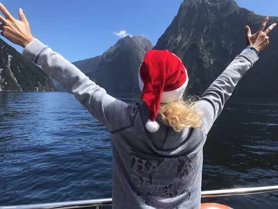 Te Wahipounamu-Milford