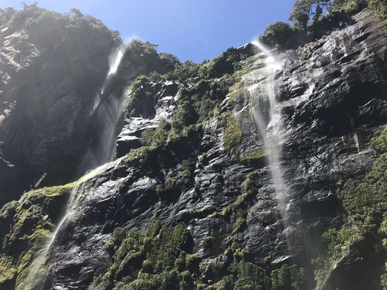 Te Wahipounamu-Milford