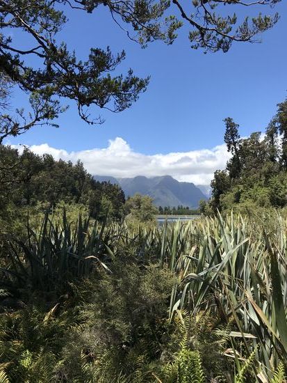 Westland Tai Poutini