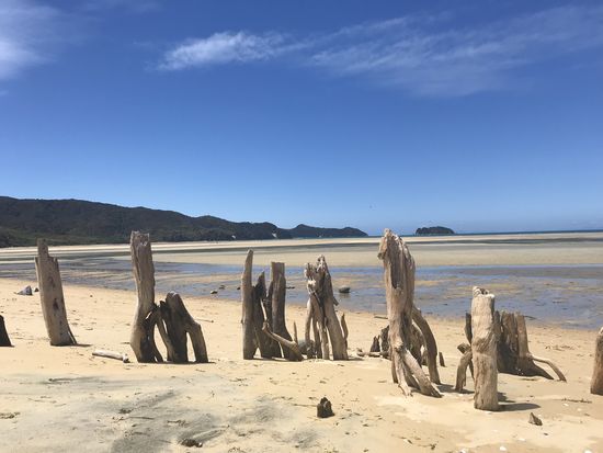 Abel Tasman- Marahau