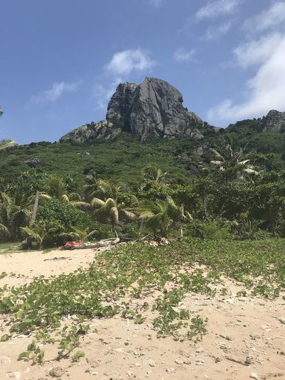 Wayalailai Island Ecohaven