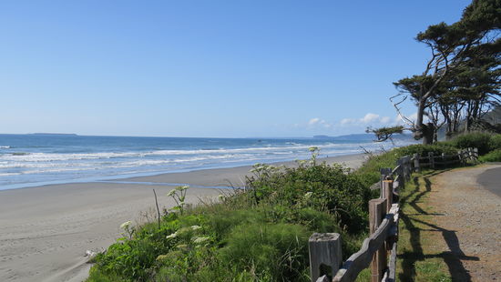 Kalaloch Campground - in der ersten Reihe