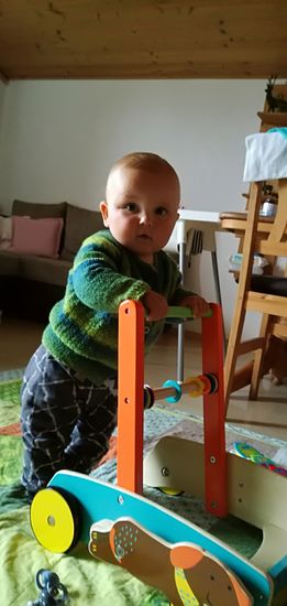 Langsam geht´s los. Die ersten Steh/Laufversuche mit Hilfe