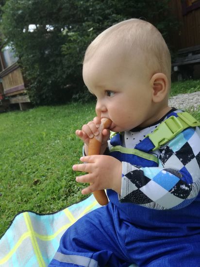 Babybrei??? Nun nicht mehr, es gibt bei jeder Mahlzeit Ärger, wenn Anton nicht auch das Essen bekommt was wir zu uns nehmen. So war auch mal ein Brot mit Meerrettich dabei, aber es schmeckte ihm auch