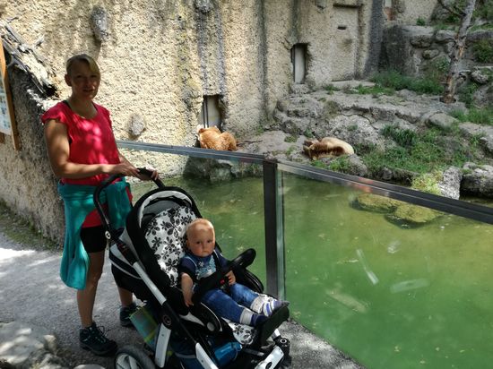Besuch des Salzburger Zoo