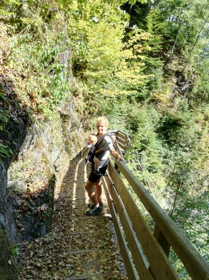 die Blätter fallen, der Herbst ist in Anmarsch