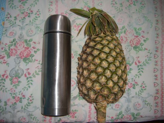 Eine Ananas im vergleich mit unserer Thermosflasche. Sie war riesig!!!! (die Ananas)