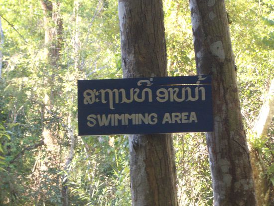 Swimming Area