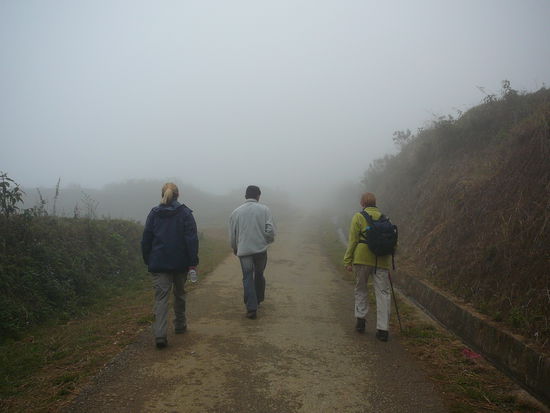 Man sieht kaum 50 Meter weit