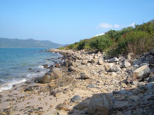 Tam Insel