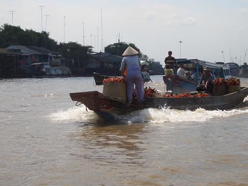 Boot mit "Litschi-" Fruechten