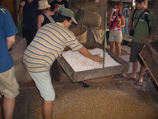 Reis-Popcorn
