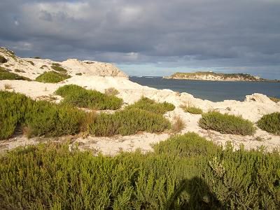 Hamelin Bay