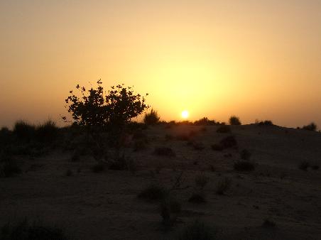 Sonnenuntergang in der Wueste