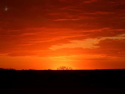 Abendstimmung irgendwo in der Pampa