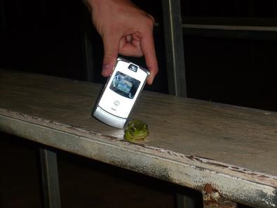 Crazy Frog