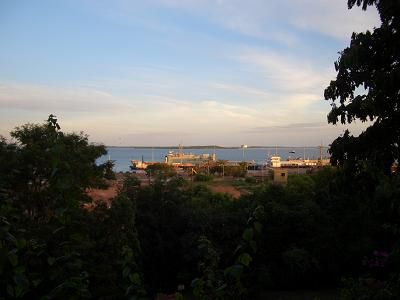 Darwin