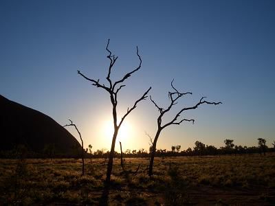 Morgenstimmung beim Ayers Rock