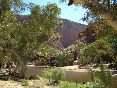 West MacDonnells (Ormiston Gorge)