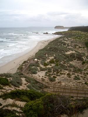 Seal Bay mit ca. 350 Seelöwen
