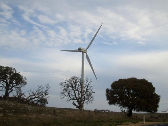 Windfarm bei Millicent