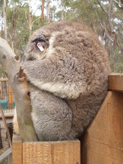 … ich will schlafen!!!