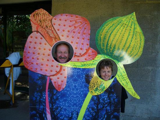 Was sind das für Pflanzen? Süss nicht?