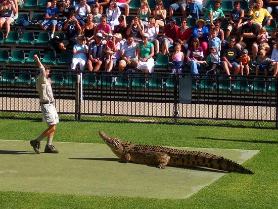 Die Krodkodilshow – nicht ganz so gut wie in Broome…