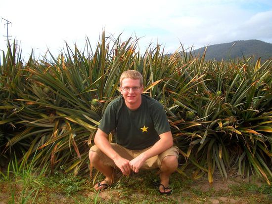 Marco und die Ananasfelder