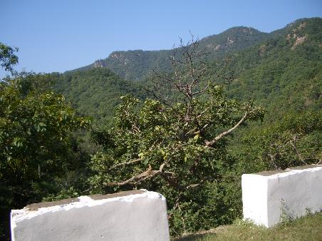 Umgebung Ranakpur
