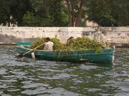 Inder im Ruderboot