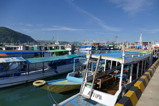 Im Hafen von Labuan Bajo und die typischen Boote für die Fahrt zum Komodo National Park