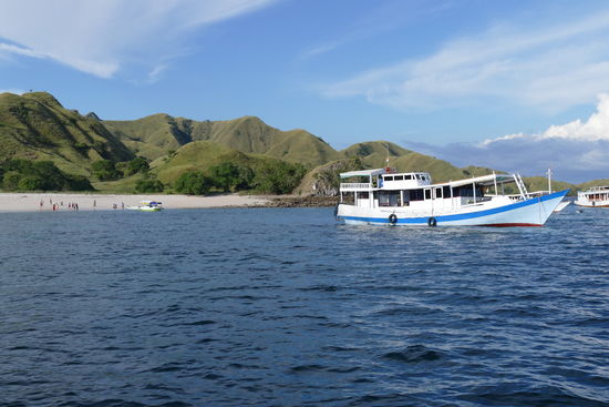 Fahrt zum Pink Beach, auch hier muss man aufpassen, keinem Waran über den Weg zu laufen