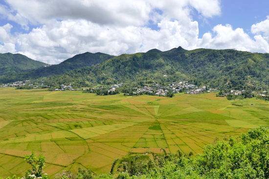 Ruteng, die Spiderweb Rice Fields