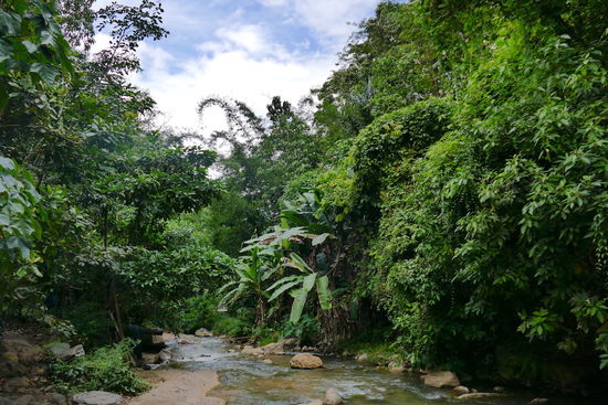 Warme Quelle bei Soa