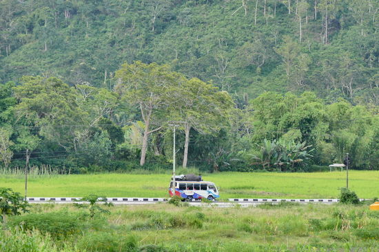 Ein Vorteil der Vorsaison ist es, dass alles noch so herrlich grün ist.