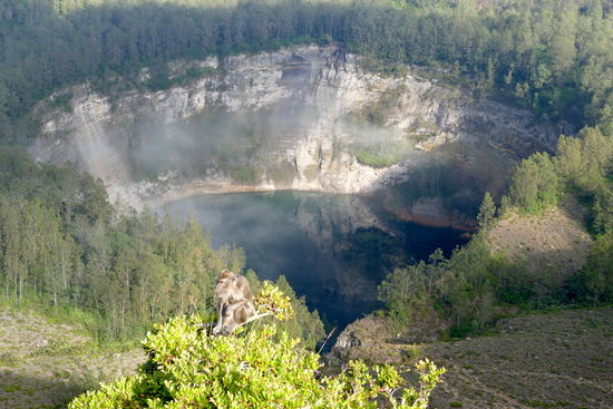 Und mit der Sonne kommen dann auch die Affen