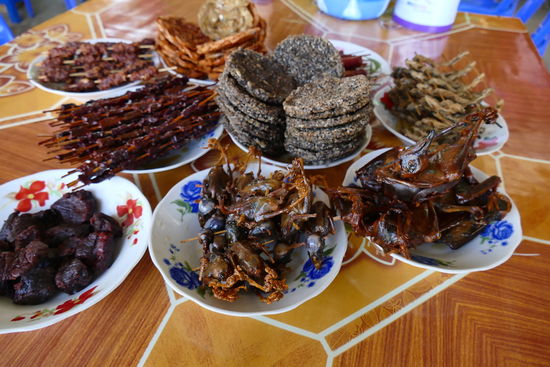 Die Vögelchen vorn im Bild waren nicht so ganz unser Ding