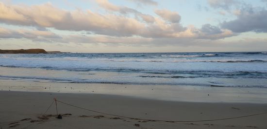 Warten auf die Pinguine