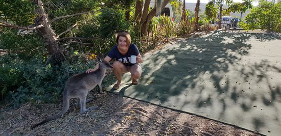 Frühstück mit Kängerus