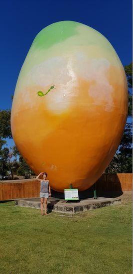 The Big Mango